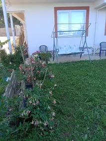 Ms. Semiha's mansion - Image 5