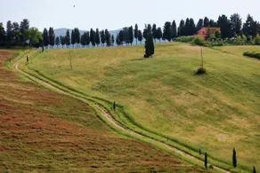 Podere Quercia al Santo - Image 5