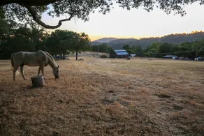 Private Yosemite Retreat~HotTub, Pool, Dogs/5acres - Image 3