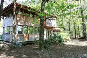 La cabane sous les pins - Image 2