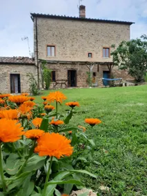 Eleutherìa: Cozy Cottage in the heart of Tuscany - Image 4