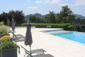 Quinta Milhão - Orchard House - Guimarães - Image 3