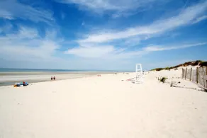 Escape to the Cape! Close to Mayflower Beach! - Image 3