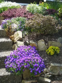 Garden happiness near Wiesbaden near Taunus Wunderland - Image 2