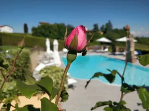 Rosè House Superior, sauna, whirlpool and swimming pool - Image 5