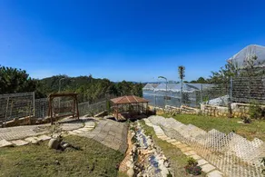 ☼ Q&P Villa 5-BRs w/ Garden ☼ Forest View ☼ - Image 3