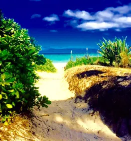 Kailua's Premier Private Luxury Beach Bungalow - Image 2