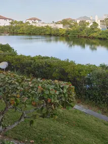 The White Dolphin at Little Harbor - Image 2
