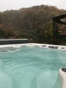 Cozy secluded cabin with hot tub + cold plunge. - Image 2