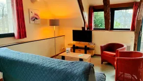 3* Cocooning Gîte in a Barn - Auvergne - Image 4