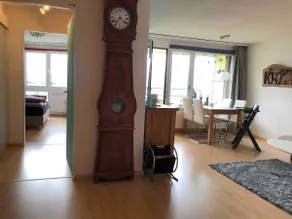 Apartment with lake and mountain view in **** spa hotel - Image 4