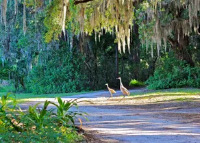 LAKE FRONT Apartment w FREE Kayaking/Canoe - Image 4