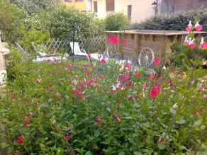 Le Clos de Sarrali ”Family Home” - Image 4
