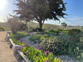 Entire Hobby Farm, Surrounded by Vineyards - Image 4