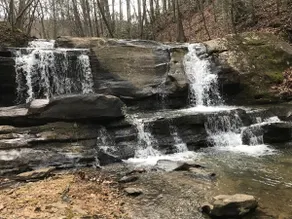 Allegheny Falls Mountain Escape-Maryville TN - Image 5