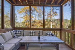 Bird Dog Lodge. Fire pit & hot tub. Dogs stay Free - Image 4