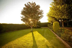 Rural house, pool, beach tennis and 2500m of garden - Image 3
