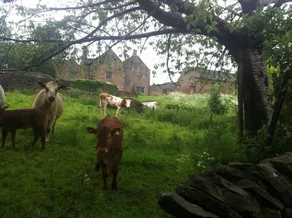 Johnnygate Grange - Image 2