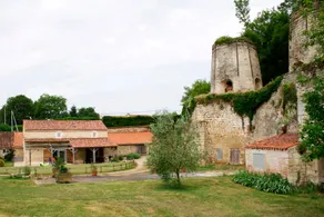 Gîte de charme avec terrasse et activités familiales à Payré, près de Fontenay-le-Comte - FR-1-426-170 - Image 3
