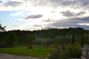 OLIVE TREE APARTMENT - CHIANTI - Image 5