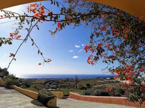 Vineyards Hill Villa - Image 4
