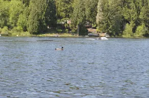 Guppies Lakehouse-Prvt. Lake Acc, Close to Rainier - Image 4