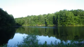 7 Bedroom Lake House with miles of Wooded Trails - Image 3