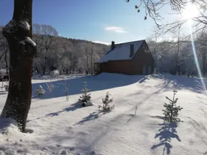 Small house - Image 2