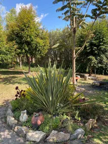 Campestre Sogamoso - Iza Apartment - Image 3