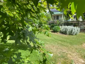 Birdsnest, garden cottage nestled near Launceston - Image 2