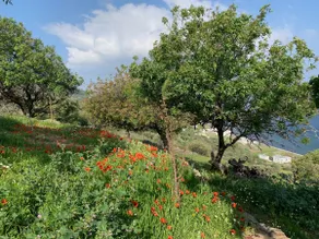 Dreamhouse Nisyros - Image 5