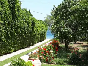 Villa Alkyon - Dreamy 3BR, Pool & BBQ next to Varnavas Beach - Image 3