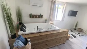 Studio SPA Balnéo - Jardin privé - Image 3