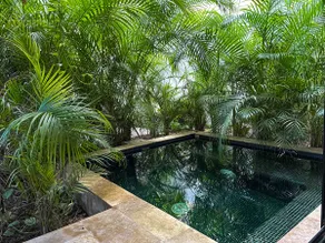 Feel The Jungle Vibe Surrounded By Palms - Image 3