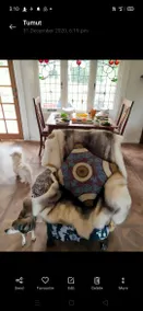 DOG HOUSE...Your pets are as welcome as you are ! - Image 4