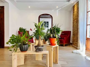 An oasis in the heart of the city - Image 3