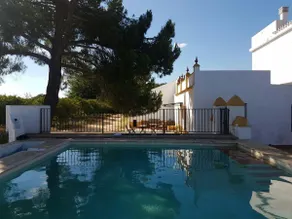 Near Seville, the calm of an orange grove - Image 3
