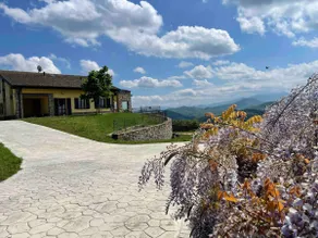 Villa Cavalieri in Verdignano - Image 2