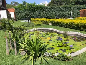 Las Orquídeas B, house, view of Tepozteco - Image 4