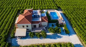 Cretan Vineyard Hill Villa 2 - Image 4