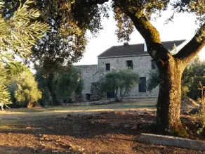 Viña Las Olivas - Image 2
