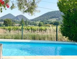 Hot tub and heated pool between vine and horizon - Image 4