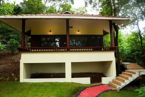 Green Garden Lotus - Image 3