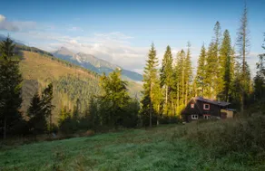 Childhood's Dream Cabin - Image 5