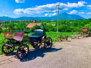 Traditional Serbian homestay ” Stanojevic” - Image 3