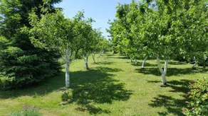 Apartmants Alan - Image 3