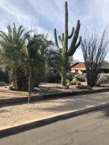 Casa de Colores, Tucson - Image 3