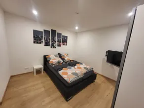 Modern 1.5 room apartment - Image 3