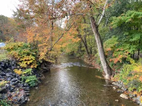 Creekside Haven - Country Stay | 25 min Asheville - Image 3
