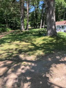 D & R Country Cottage - Image 4